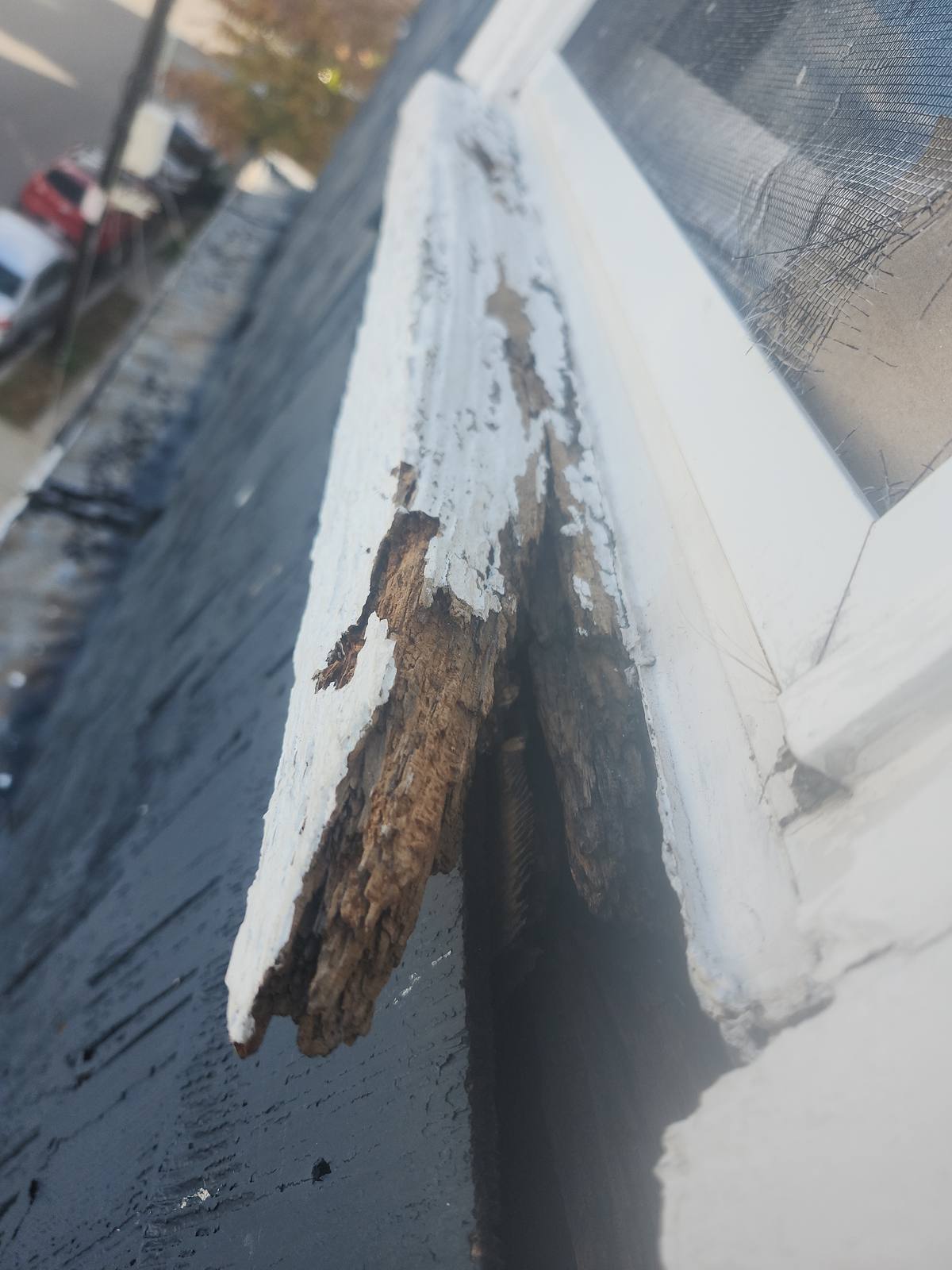 Rotted wood at a roof edge corner with peeling white paint
