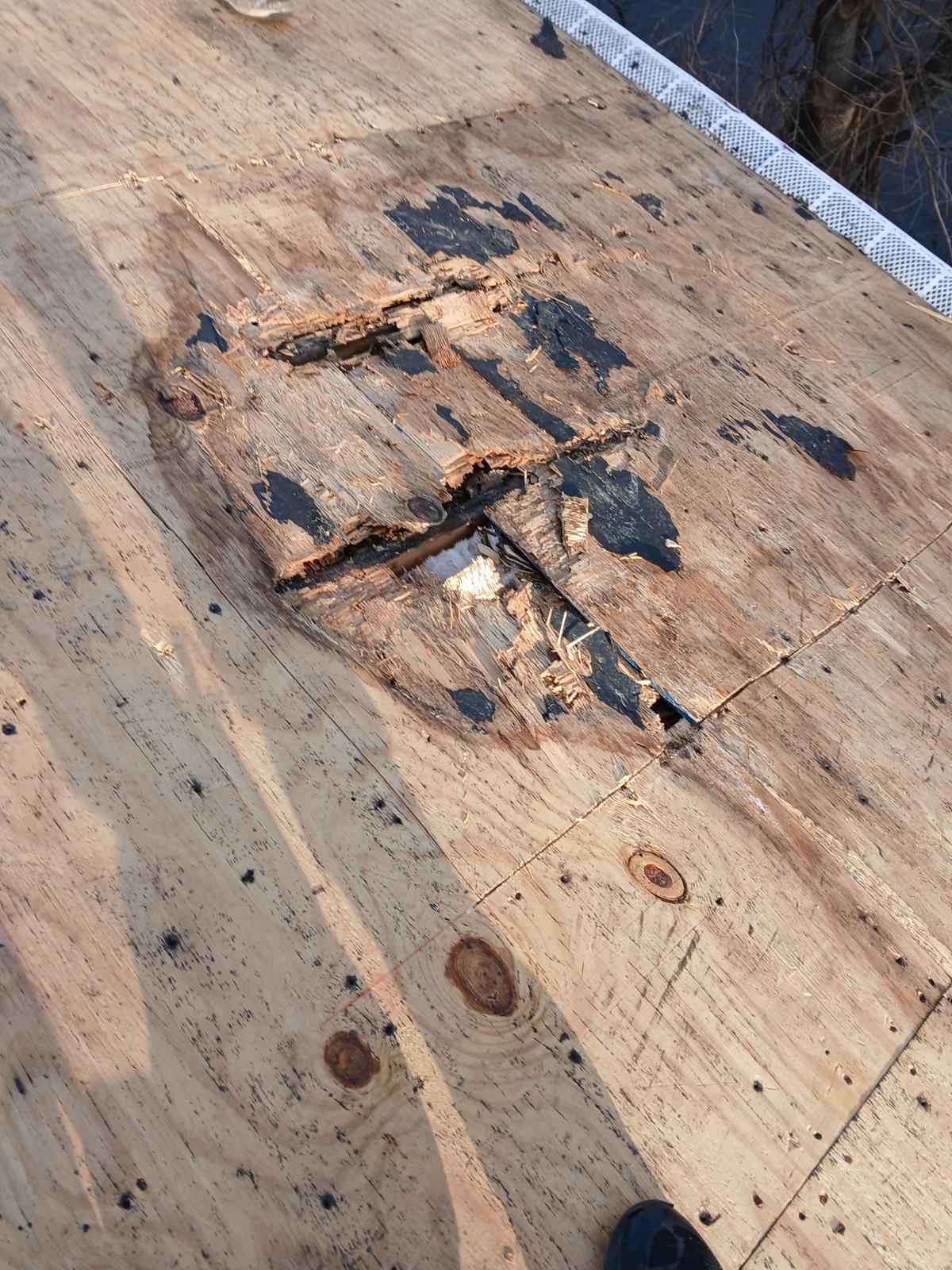 Roof deck with a rotted section cut out before repair