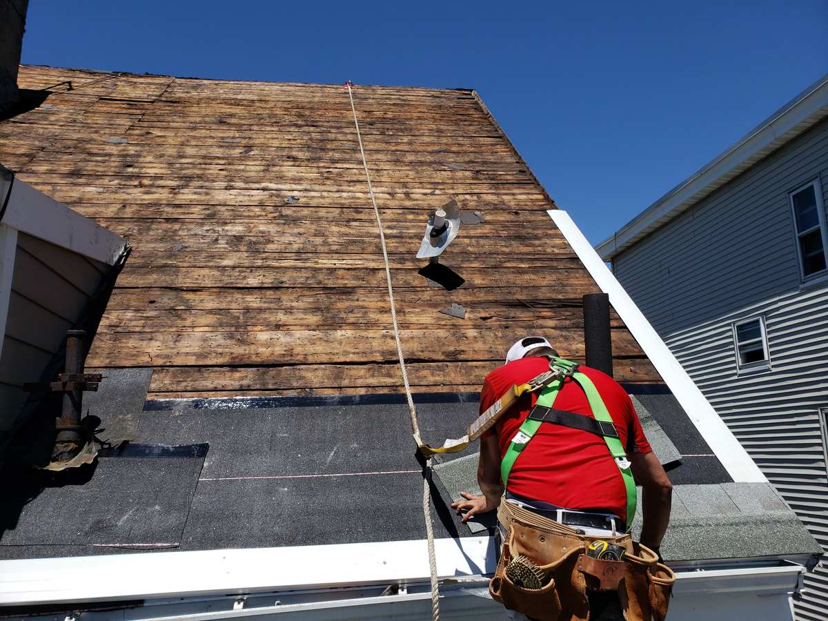 Roofer in a harness on a stripped steep roof with old board sheathing exposed